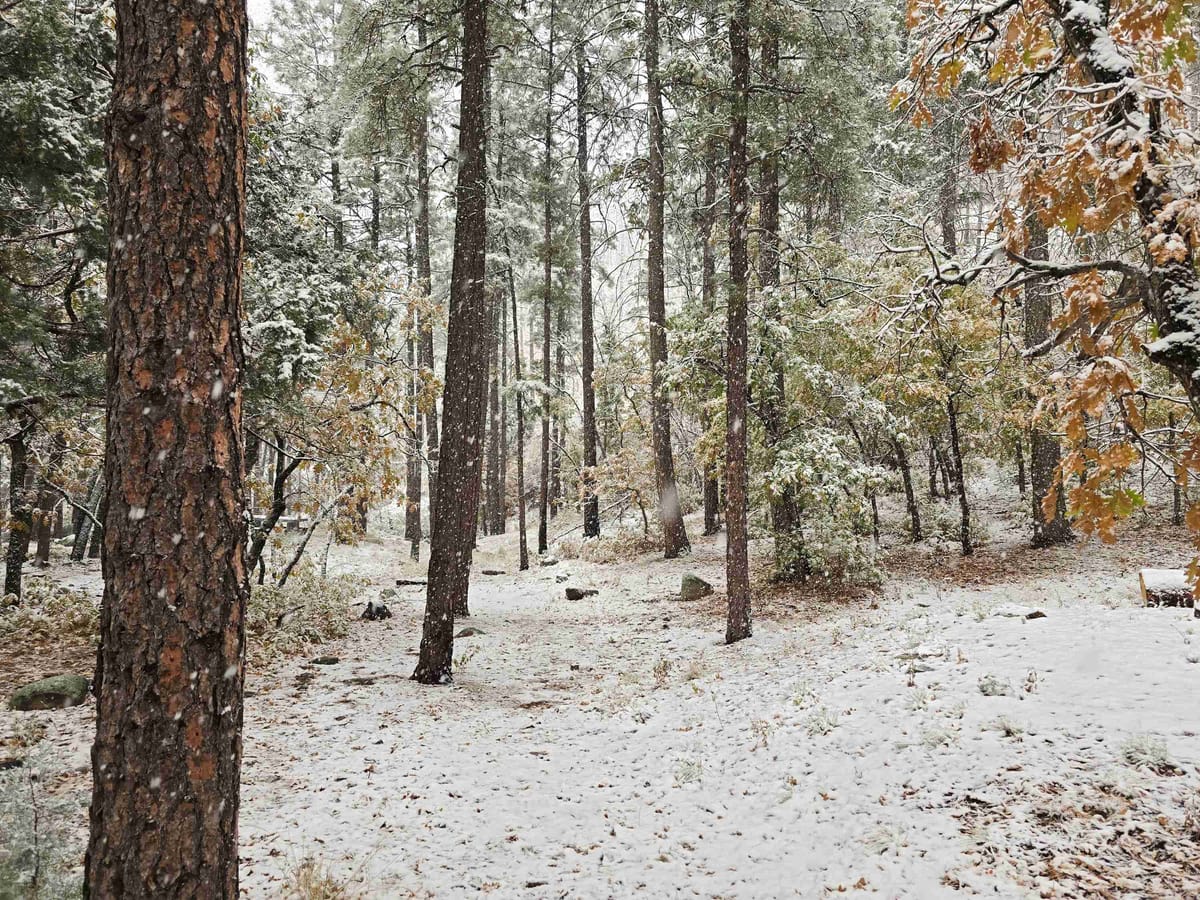 Camping at Springtime Campground